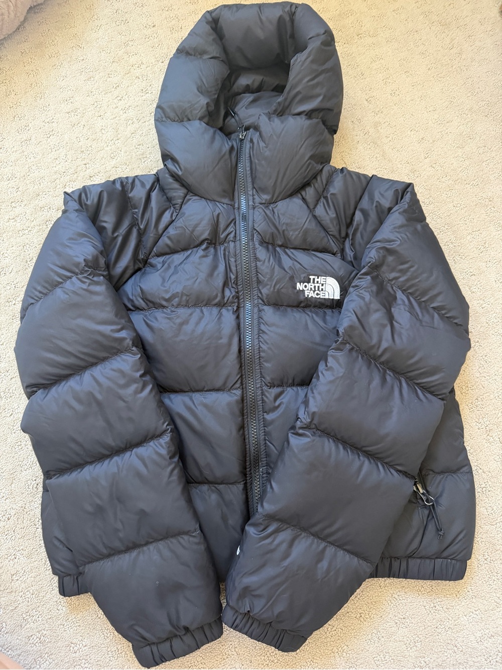 The North Face Womens Hydrenalite Down Hooded Black Puffer Jacket